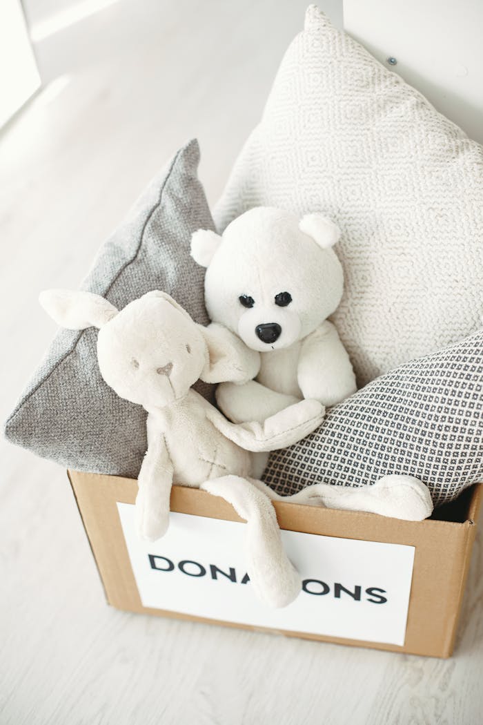 services-03 A cardboard box labeled 'Donations' filled with pillows and plush toys, ready for giving.
